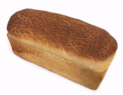 Melkwit brood tijger